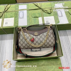 Gz18-223 Gucci túi size 25cm siêu cấp