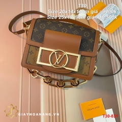 T30-831 Louis Vuitton túi size 20cm , 25cm siêu cấp