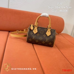 T30-833 Louis Vuitton túi size 16cm siêu cấp