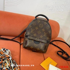 T30-834 Louis Vuitton túi size 17cm siêu cấp