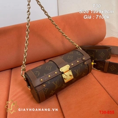 T30-855 Louis Vuitton túi size 19cm siêu cấp