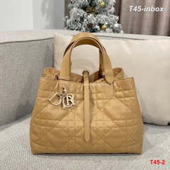 T45-2 Túi Dior siêu cấp