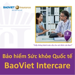 Bảo hiểm Sức khỏe quốc tế Bảo Việt InterCare - Nội trú & Ngoại trú / Health Insurance