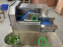 Máy thái lát hành lá, sả ớt YDQC-20 chạy băng tải