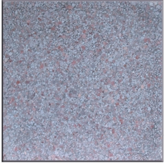 Gạch granite vuông 40x40