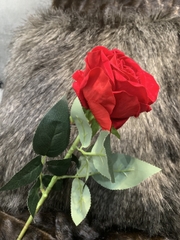 Hoa hồng mới nở hoa trang trí màu đỏ 7221D