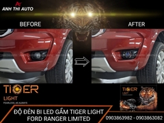 Bi Led Gầm Tiger Light