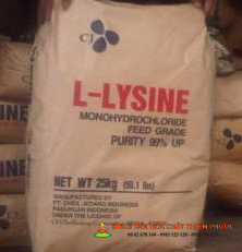 L - LYSINE MONOHYDROCHLORIDE