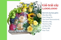 Giỏ trái cây 1 triệu mã HL1002