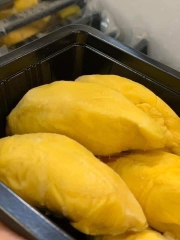 Sầu Riêng Musang King Malaysia A++