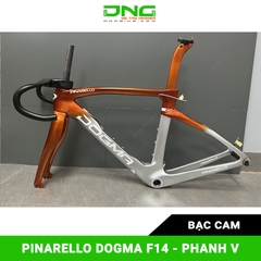 Khung sườn xe đạp đua PINARELLO DOGMA F14 CARBON