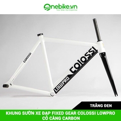 Khung sườn xe đạp Fixed Gear COLOSSI LOWPRO có càng carbon( đủ chén cổ+ cọc yên)