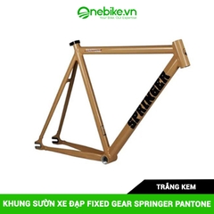 Khung sườn xe đạp Fixed Gear SPRINGER PANTONE