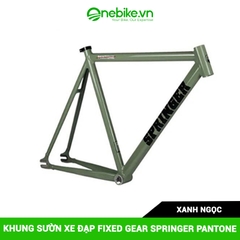 Khung sườn xe đạp Fixed Gear SPRINGER PANTONE