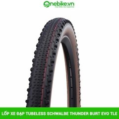 Lốp Xe Đạp Tubeless SCHWALBE Thunder Burt Evo Tle 29x2.25