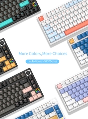 Bàn Phím Cơ Không Dây GANSS HS75T ( 3modes, Hotswap, RGB ) Bàn Phím Cơ Không Dây GANSS HS75T ( 3modes, Hotswap, RGB )