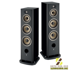 Loa Focal  Aria Evo X N°4