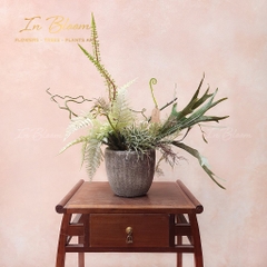 Bồn cây THUY211