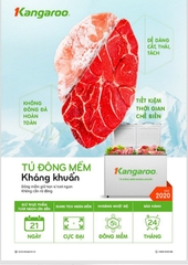 Tủ đông mềm Kangaroo KG268DM1