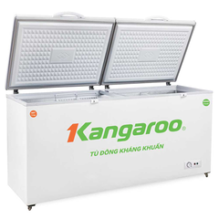 Tủ đông kháng khuẩn Kangaroo KG566C2