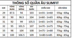 Quần âu nam không ly ALGO1012