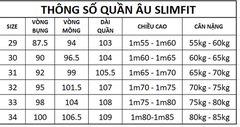 Quần âu Aligro ALGO1045