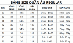 Quần tây  nam 1 ly ALGL1011