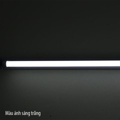 Bóng tuýp LED TUBE đổi màu T8 ĐM 120/18W Rạng Đông