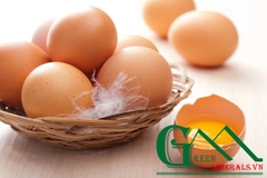 Ảnh hưởng của Canxi trong khẩu phần đến chất lượng vỏ trứng