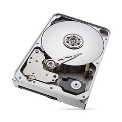 Ổ cứng HDD Seagate Ironwolf Pro 10TB 3.5 inch, 7200RPM, SATA3, 256MB Cache (ST10000NT001)