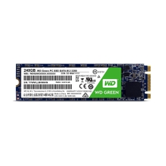 Ổ cứng SSD WD Green 240GB - M.2 2280 (WDS240G3G0B)