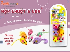 HỘP CHUỘT 6 CON