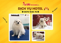 PET HOTEL - DỊCH VỤ TRÔNG GIỮ CHÓ