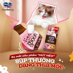 Súp thưởng cho mèo Silver Spoon dạng thìa
