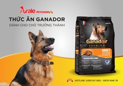 THỨC ĂN HẠT CHO CHÓ TRƯỞNG THÀNH GANADOR ADULT - VỊ CỪU & GẠO