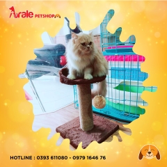 TRỤ CÀO MÓNG CÓ BỆ NẰM
