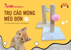 TRỤ CÀO MÓNG MÈO ĐƠN