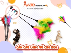 CẦN CÂU LÔNG VŨ CHO MÈO