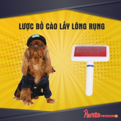 LƯỢC BỒ CÀO LẤY LÔNG RỤNG CÁN TRẮNG