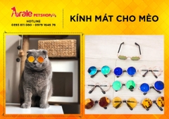 KÍNH MÁT CHO MÈO