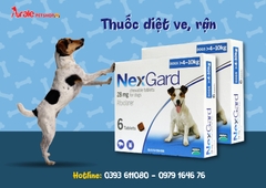 NEXGARD TRỊ GHẺ,VIÊM DA,VE RẬN ( CHÓ 4-10KG)