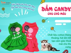 ĐẦM CANDY CHO CHÓ MÈO