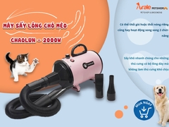 MÁY SẤY LÔNG CHÓ MÈO CHAOLUN - 2000W