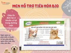 MEN HỖ TRỢ TIÊU HÓA BIO