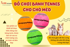 ĐỒ CHƠI BANH TENNIS CHO CHÓ MÈO