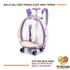 Balo Cho Chó Mèo - Vali Kéo Hình Trứng