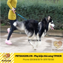 Dây Dắt Cho Chó Kèm Đai Lưng Cho Chủ