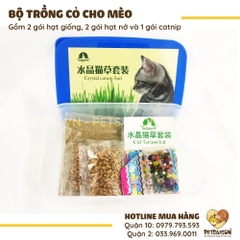 Bộ Trồng Cỏ Cho Mèo