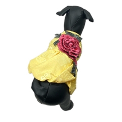 Áo Tết Cho Chó Mèo - Đầm Tết Hoa Thêu