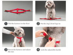 Dây Dắt Yếm Cho Chó Mèo Dây Xoắn Bằng Dù